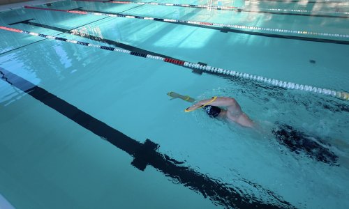 Avis et test Forearm Fulcrums - FINIS