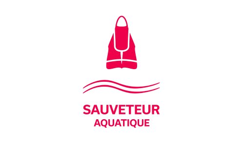 BNSSA le job parfait pour l'été