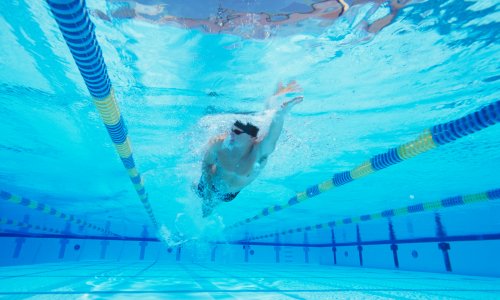 L'échauffement dans l'eau en natation