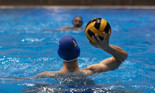 Le ballon de water-polo