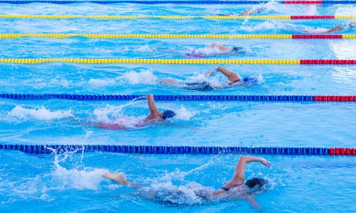 Les interclubs de natation