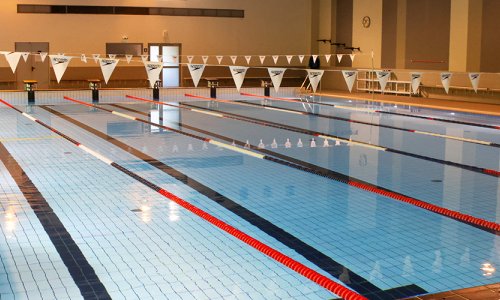 Académie des P'tits nageurs - École de natation