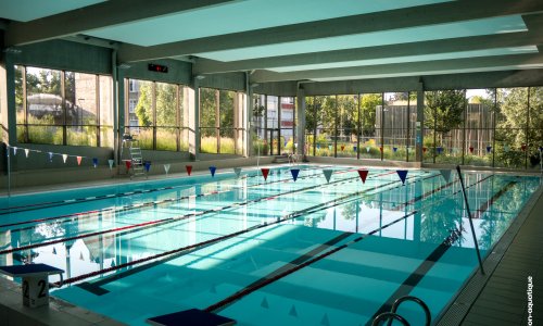 Académie des P'tits nageurs