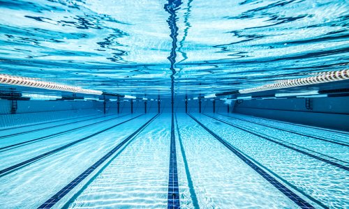 Académie des P'tits nageurs