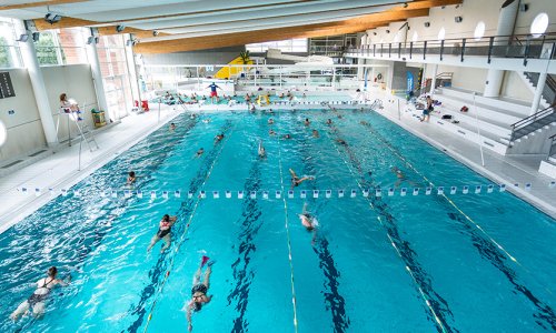 Académie des P'tits nageurs