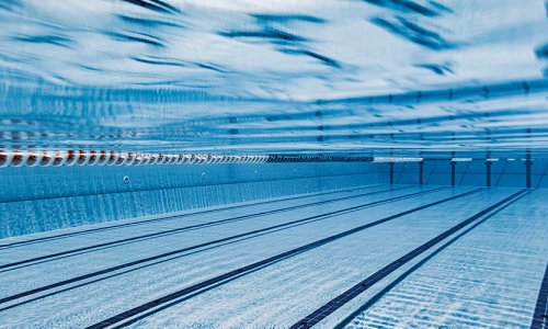 Académie des P'tits nageurs