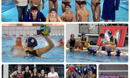 Association Montgeronnaise de water-polo