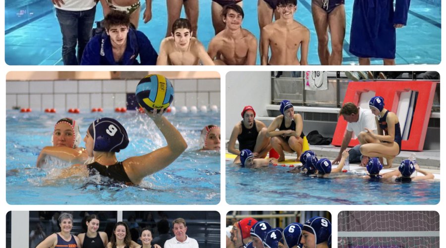 Association Montgeronnaise de water-polo