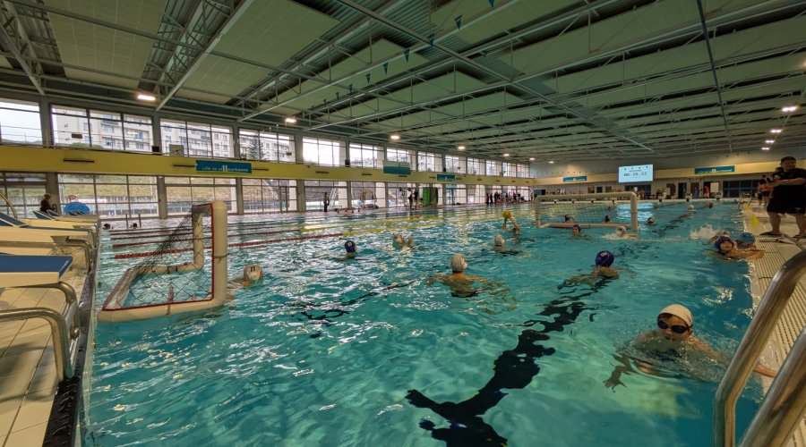 Cercle Aquatique Lyon Métropôle (CALM)