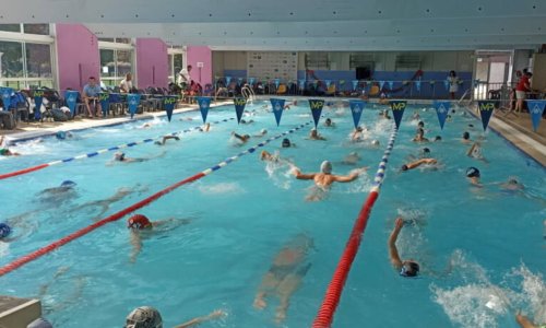Club Natation Sassenage