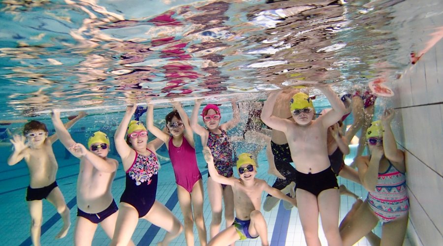 Dauphins d'Obernai