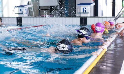 La Tribu des Nageurs - Le Dôme